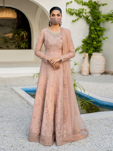 Pakistani Salwar Kameez - Designer Chiffon Embroidery