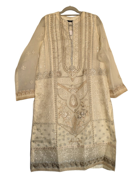 Pakistani Kurti - Embroidery on Organza Kurti