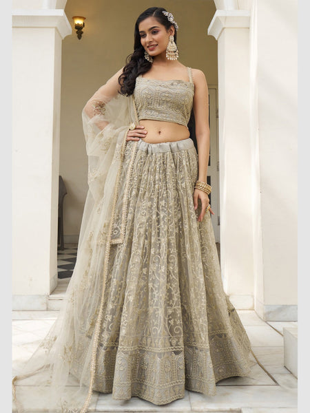 New Lehenga Choli - Butterfly Net Sequence