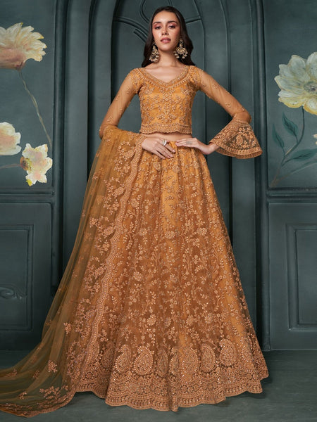 Net Lehenga Choli - Luxury Net Embroidery