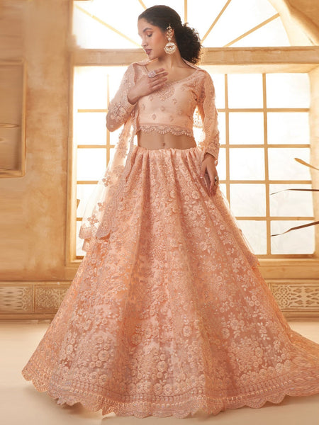 New Lehenga Choli - Luxury Net Embroidery
