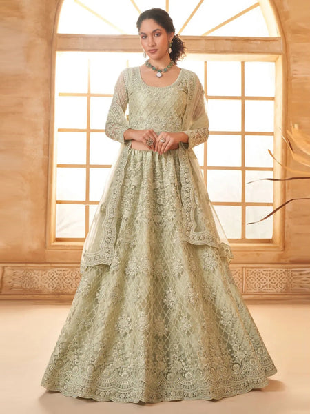 New Lehenga Choli - Luxury Net Embroidery