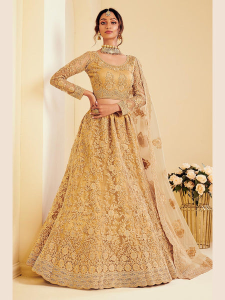 Net Lehenga Choli - Silk & Net Embroidery
