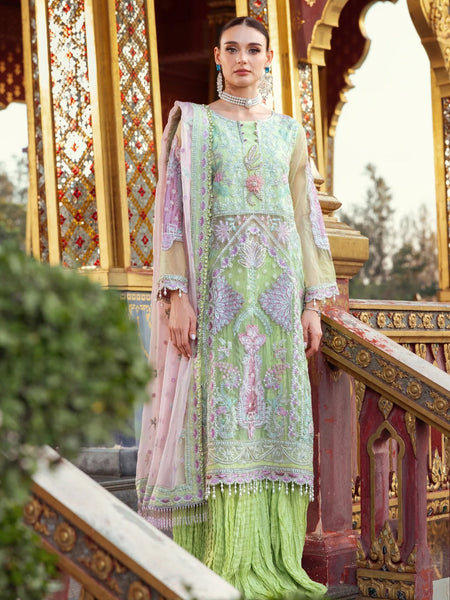 Pakistani Salwar Kameez - Designer Embroidered Organza