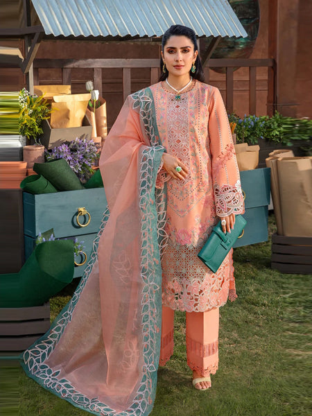 Rang-Rasiya C1141F