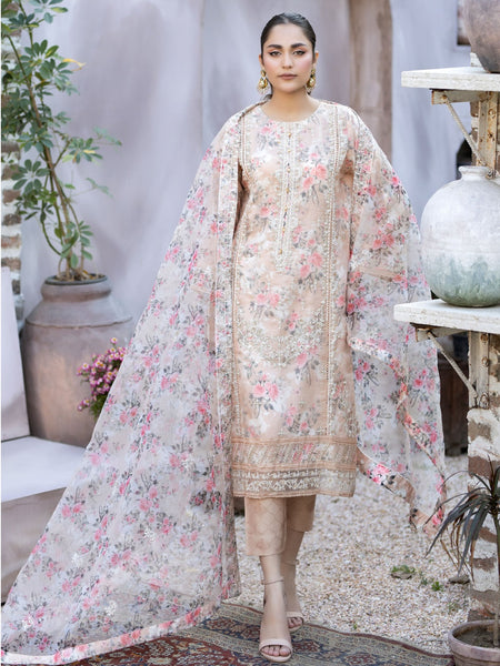 Chiffon Salwar Kameez - Embroidered Organza