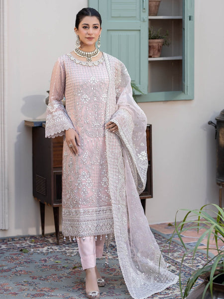  Salwar Kameez - Embroidered Chiffon Organza