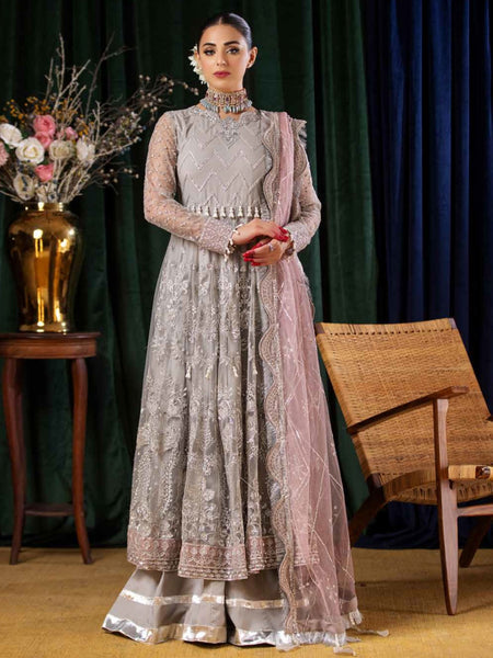 Grey Salwar Kameez - Luxury Embroidered Net