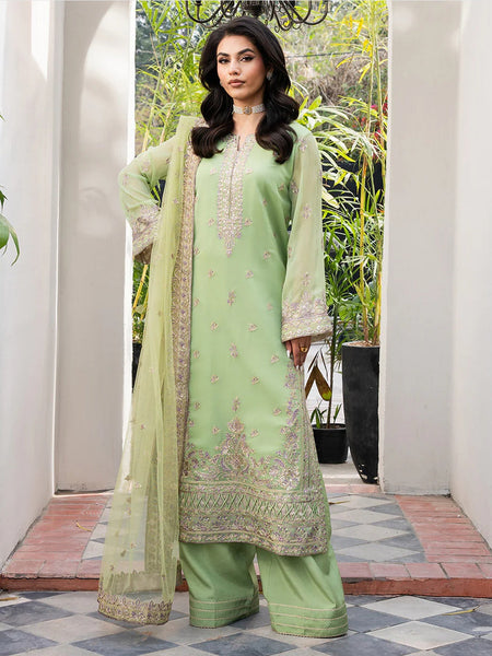 Pakistani Salwar Kameez - Tarz Embroidered Chiffon