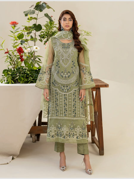 Pakistani Salwar Kameez - Luxury Embroidered Organza