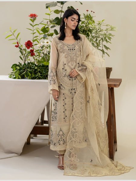 Pakistani Salwar Kameez - Luxury Embroidered Organza