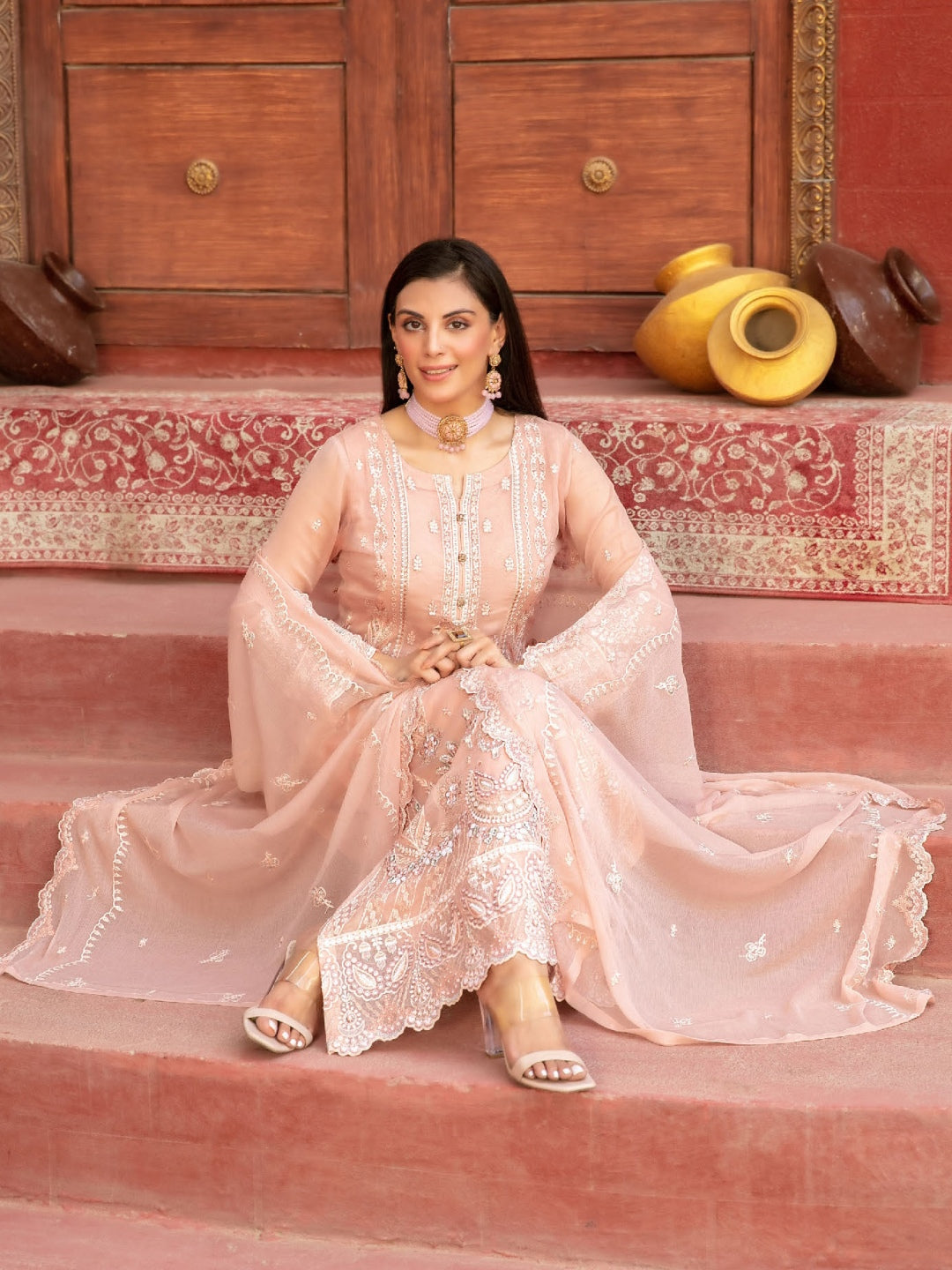 Fancy Embroidered Chiffon
