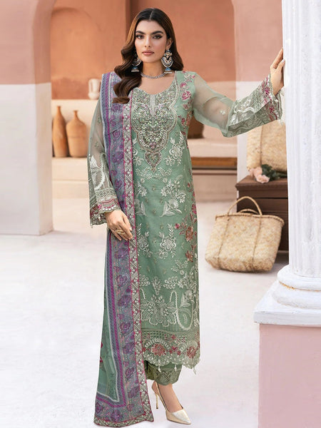 Organza Net Sequences Salwar Kameez by Fabricoz USA