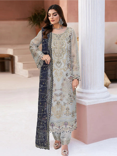 Organza Net Sequences Salwar Kameez by Fabricoz USA