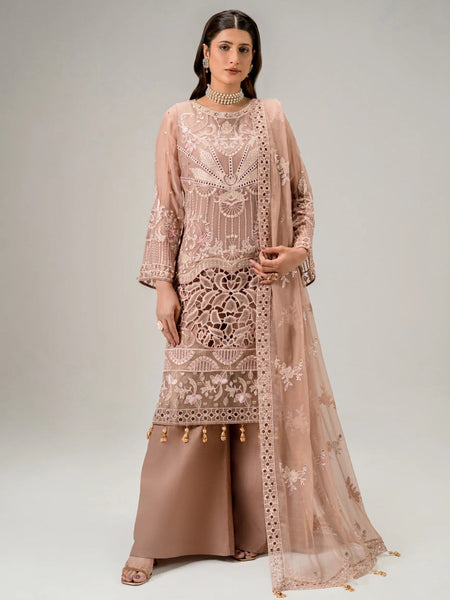 Nude Beige Chiffon Floral Embroidered Pakistani Dress by Fabricoz USA