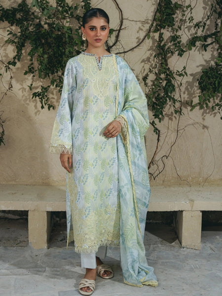 Blue Pakistani Dress - Embroidered Chikankari