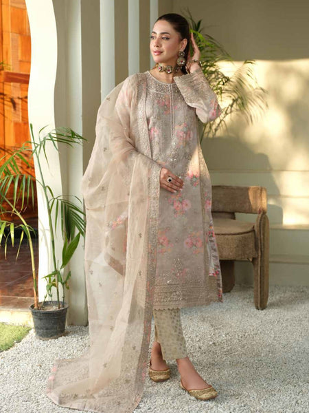 Pakistani Salwar Kameez - Embellished Organza