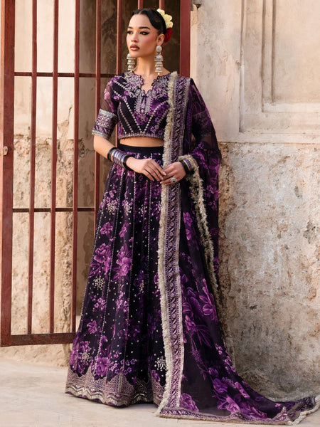 Chiffon Salwar Kameez - Xenia Luxe Chiffon