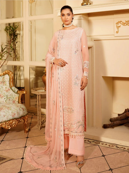 Pakistani Salwar Kameez - Embroidered Fine Chiffon