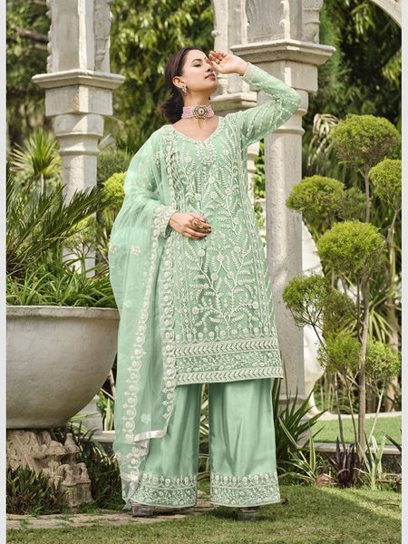 Net Salwar Kameez - Pure Butterfly Net Embroidery