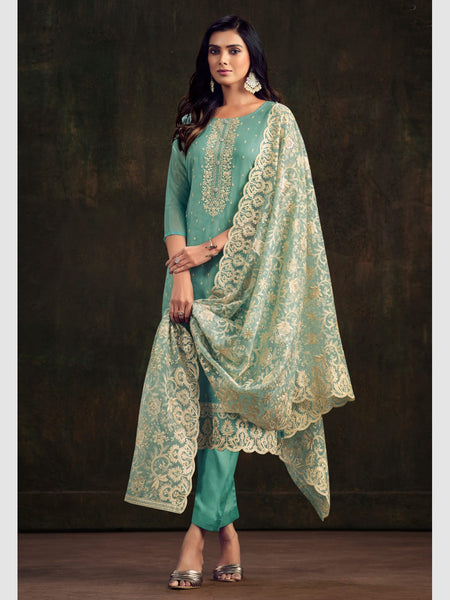 Straight Indian Dress - Organza Embroidery