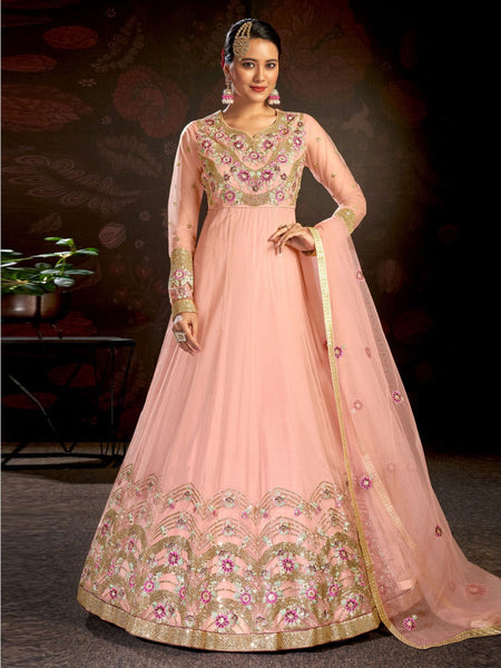 Net Indian Dress