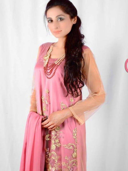 Net Indian Dress - Embroidered Net and Silk