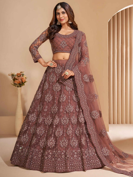 Brown Lehenga Choli - Net & Silk Embroidery