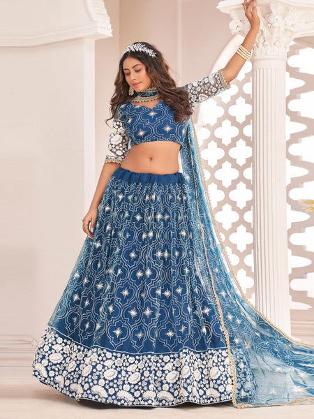 Blue Lehenga Choli - Butterfly Net Embroidery