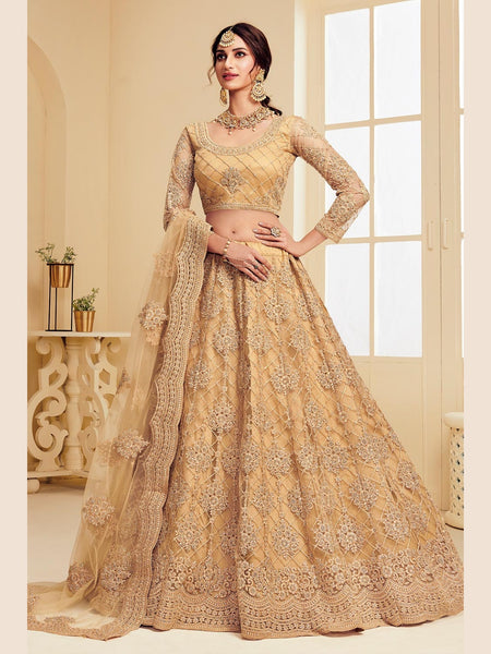 Net Lehenga Choli - Silk & Net Embroidery
