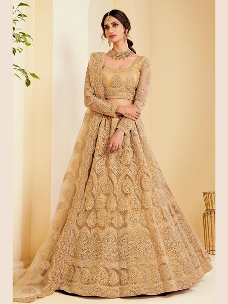 Golden Lehenga Choli - Silk & Net Embroidery