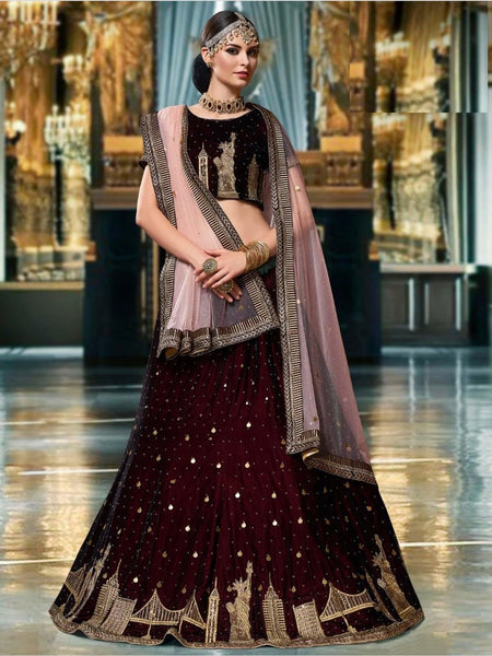 Brown Lehenga Choli - Velvet and Net Embroidery