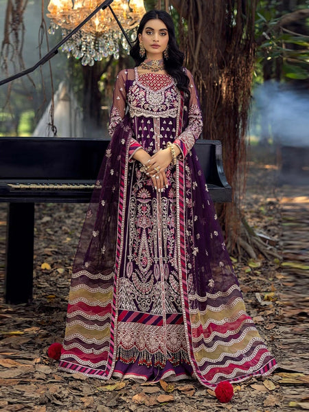 Blue Pakistani Dress - Festive Embroidered Net
