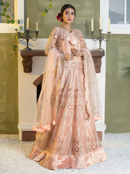 Casual Pakistani Dress - Embroidery on Net & Silk