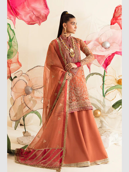  Salwar Kameez - Embroidered Luxury Organza