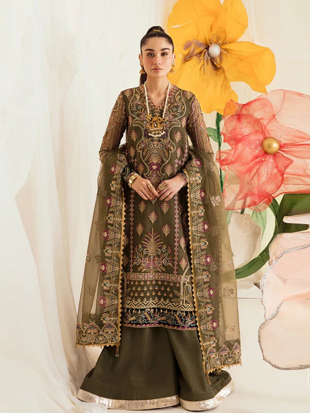 Brown Pakistani Dress - Embroidered Luxury Organza